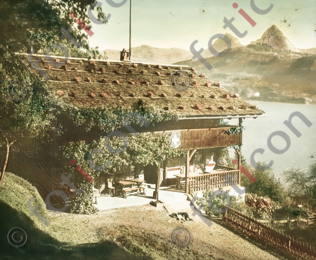Das Rütli am Vierwaldstättersee | The Rütli Lake Lucerne - Foto simon-156-076.jpg | foticon.de - Bilddatenbank für Motive aus Geschichte und Kultur